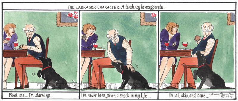 Signed Tottering by Gently Print - The Labrador Character