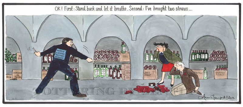 Signed Tottering by Gently Print - Berry's Disaster Recovery