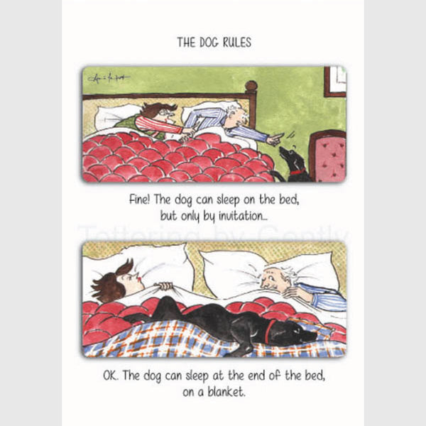 The dog can sleep ON the bed - Greeting card